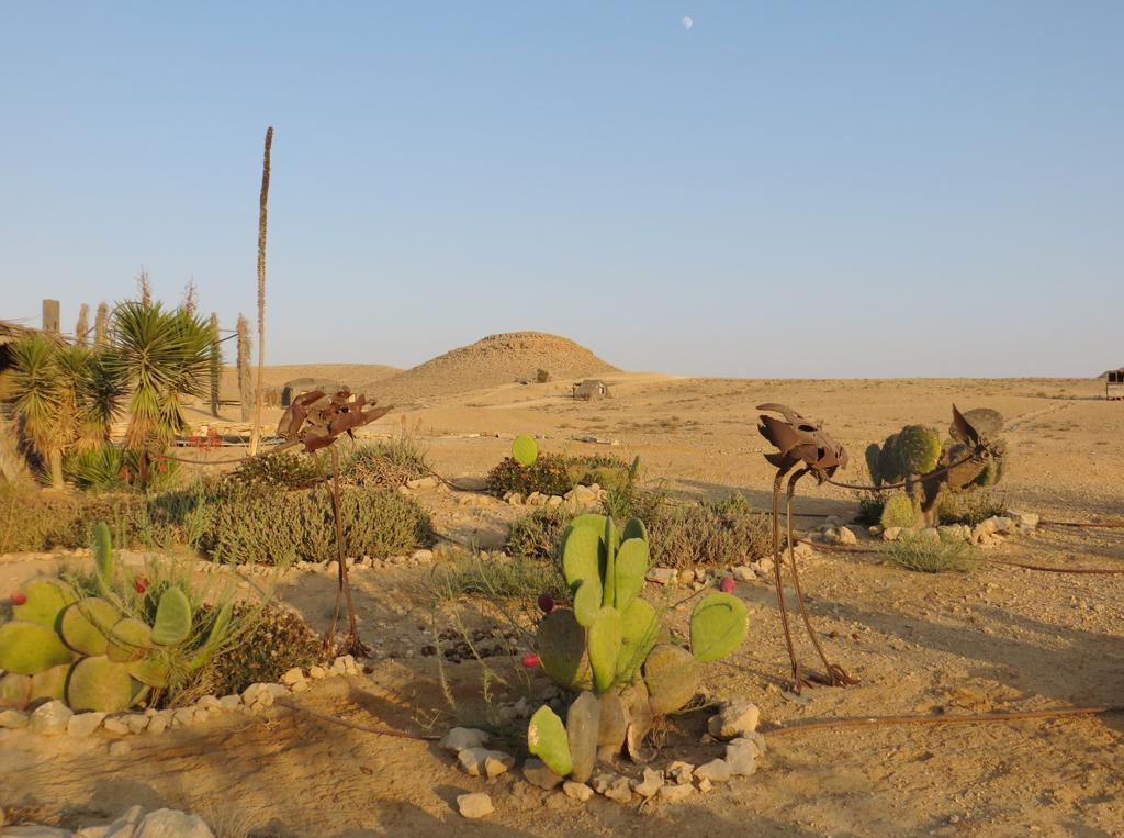 Succah In The Desert Mitzpe Ramon Eksteriør billede