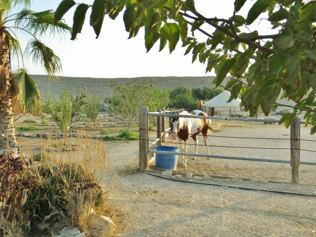 Succah In The Desert Mitzpe Ramon Eksteriør billede