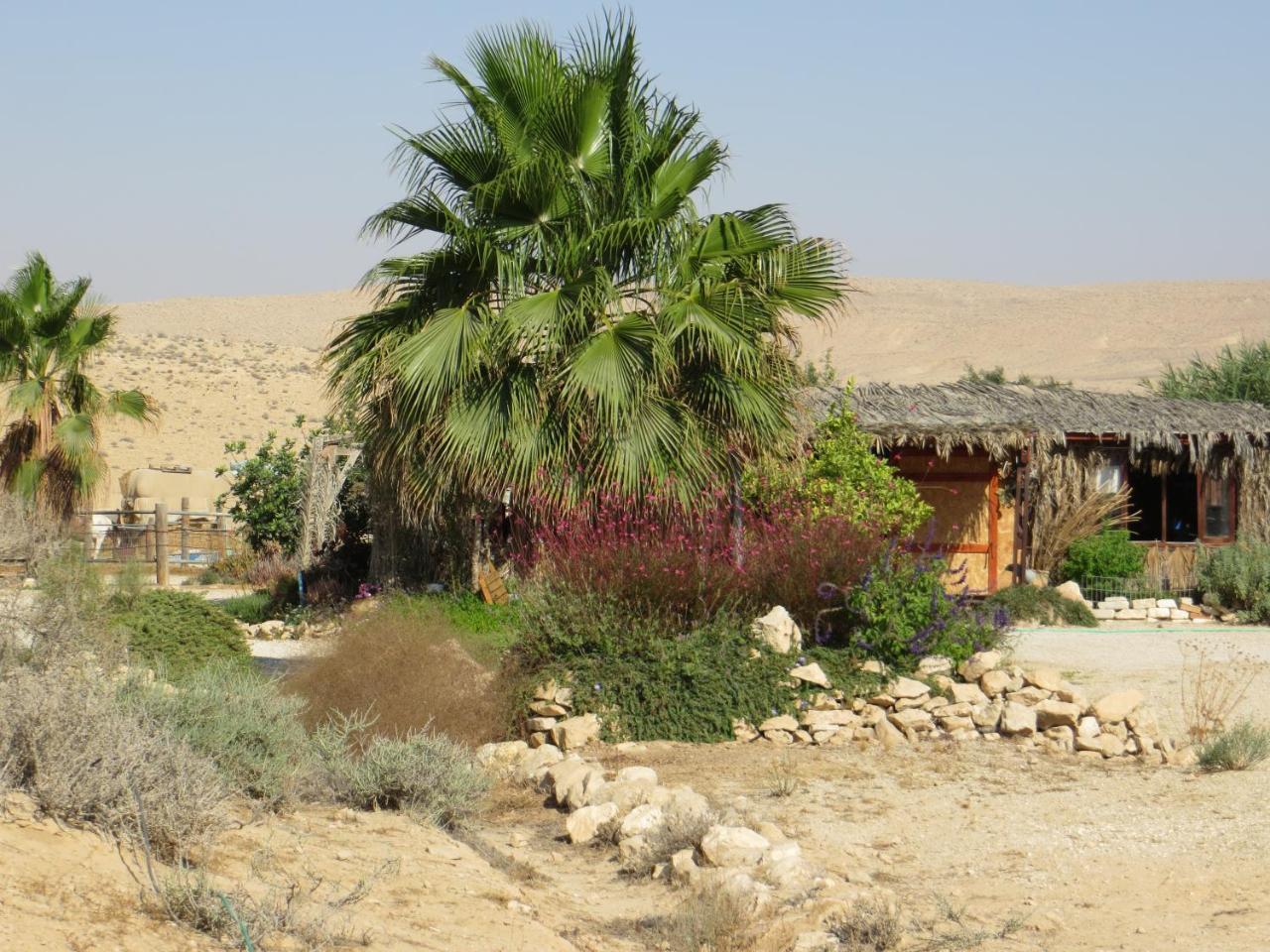 Succah In The Desert Mitzpe Ramon Eksteriør billede