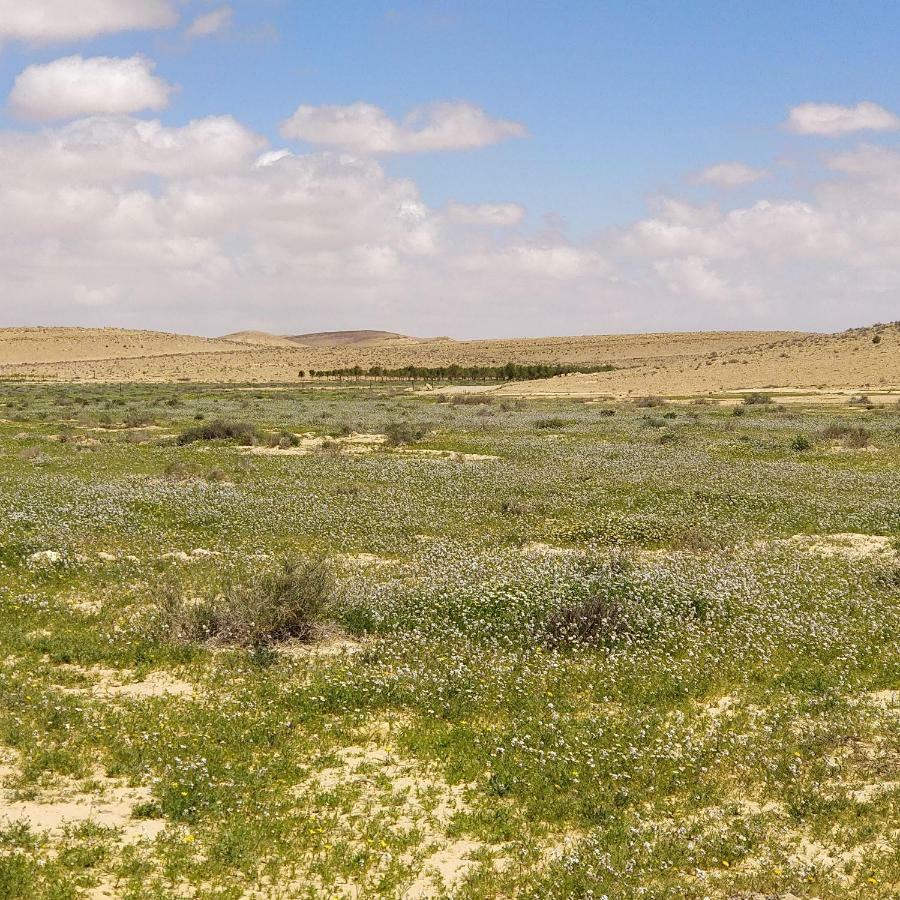 Succah In The Desert Mitzpe Ramon Eksteriør billede